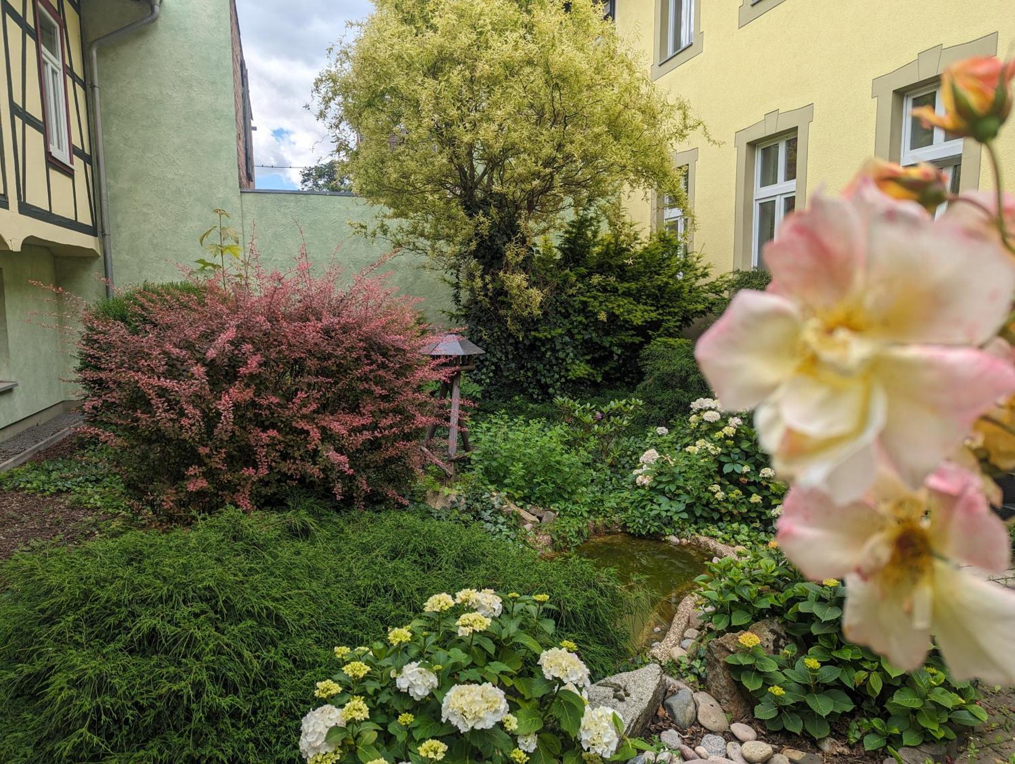 Ferienwohnungen An Der Bimmelbahn Wernigerode Kültér fotó